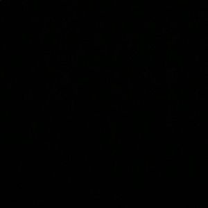 Meet your Posher, Jade